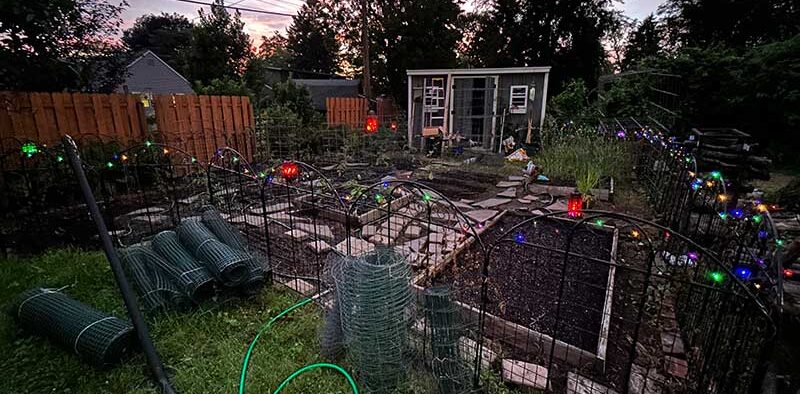 backyard garden with shed, raised beds, and lights on the fence