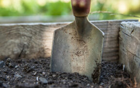 hand trowel stuck in soil of raised bed garden