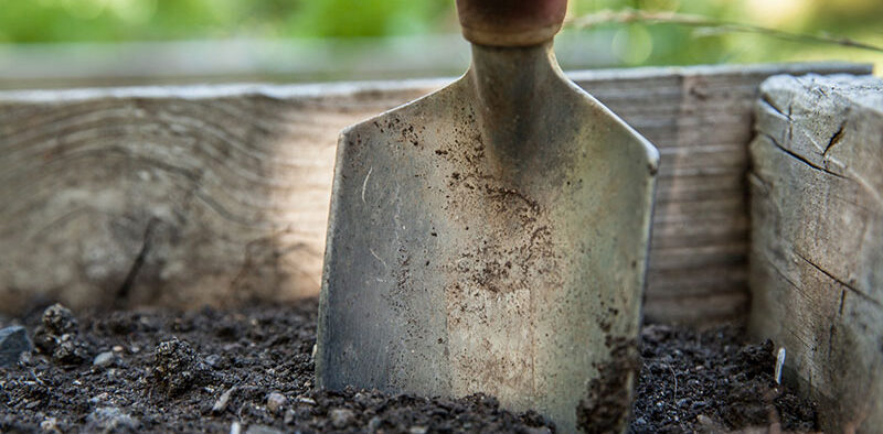 hand trowel stuck in soil of raised bed garden