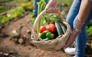 summer vegetables in a basket