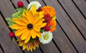 cut flowers arranged in a vase