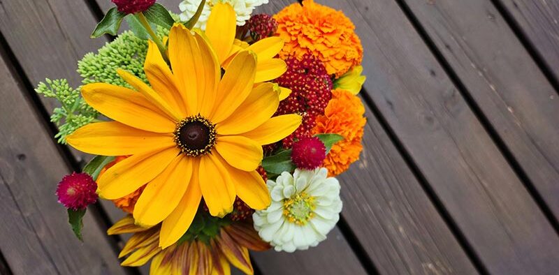 cut flowers arranged in a vase