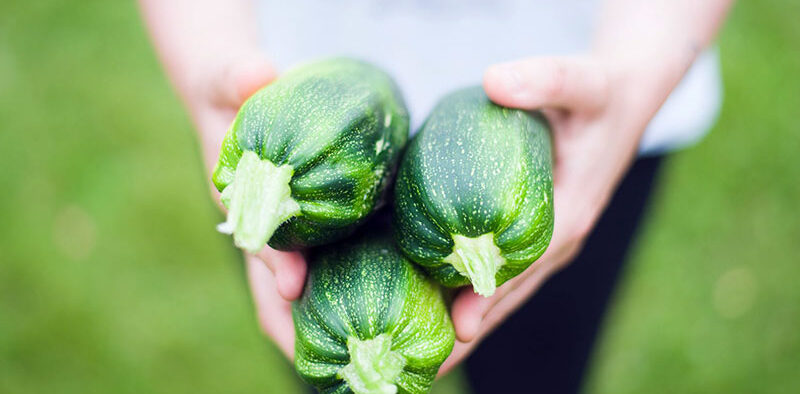 woman holding three zucchinis in her hand