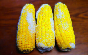frozen corn on the cob