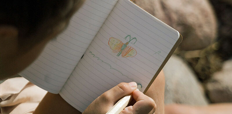 kid drawing a butterfly in her journal