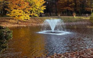 a fountain in a pond in fall