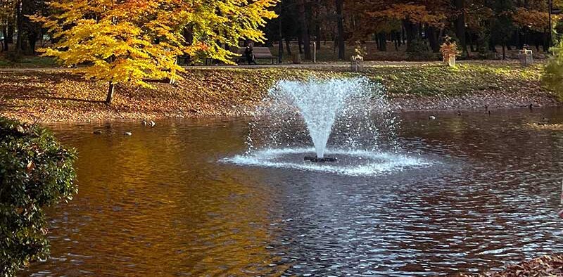 a fountain in a pond in fall