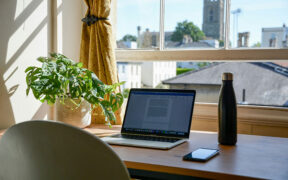 laptop and houseplant on a desk in a home office