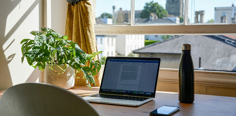 laptop and houseplant on a desk in a home office