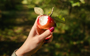 an apple with a bite taken out of it
