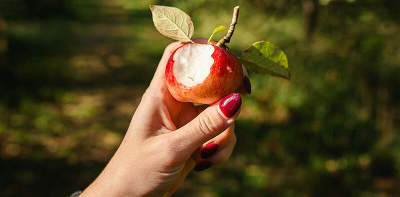 an apple with a bite taken out of it
